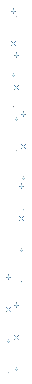niebieskie gwiazdki.webp