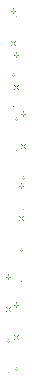 zielone gwiazdki.webp