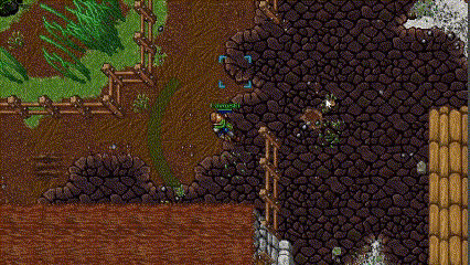 shadow walk.gif