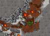 dragons.jpg
