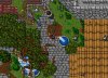 random1.jpg