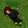 Quapux
